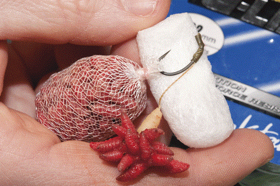 Montura maggot rig 2 - 9.gif